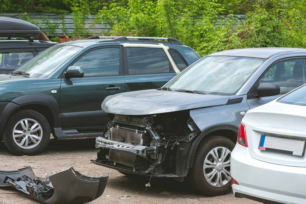 Experience in Winter Accidents