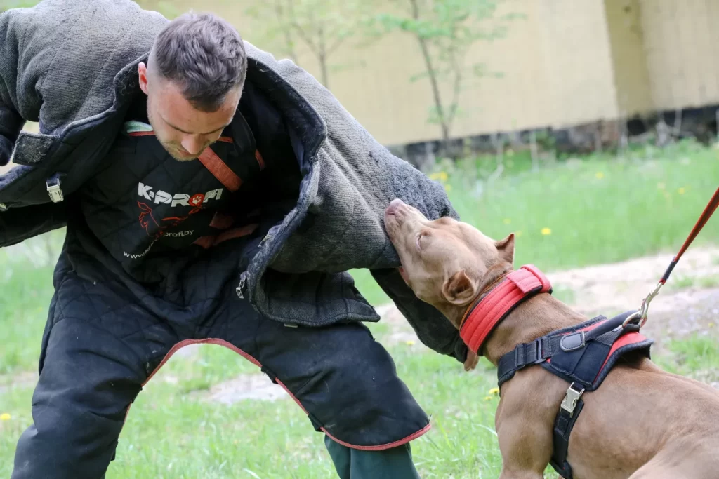 Medina dog bite lawyer